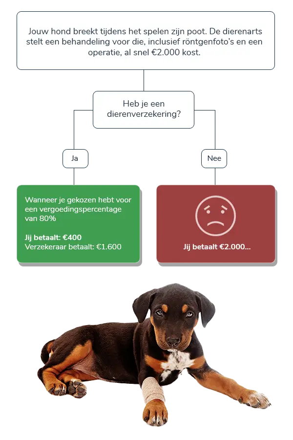 Waarom een hondenverzekering?
