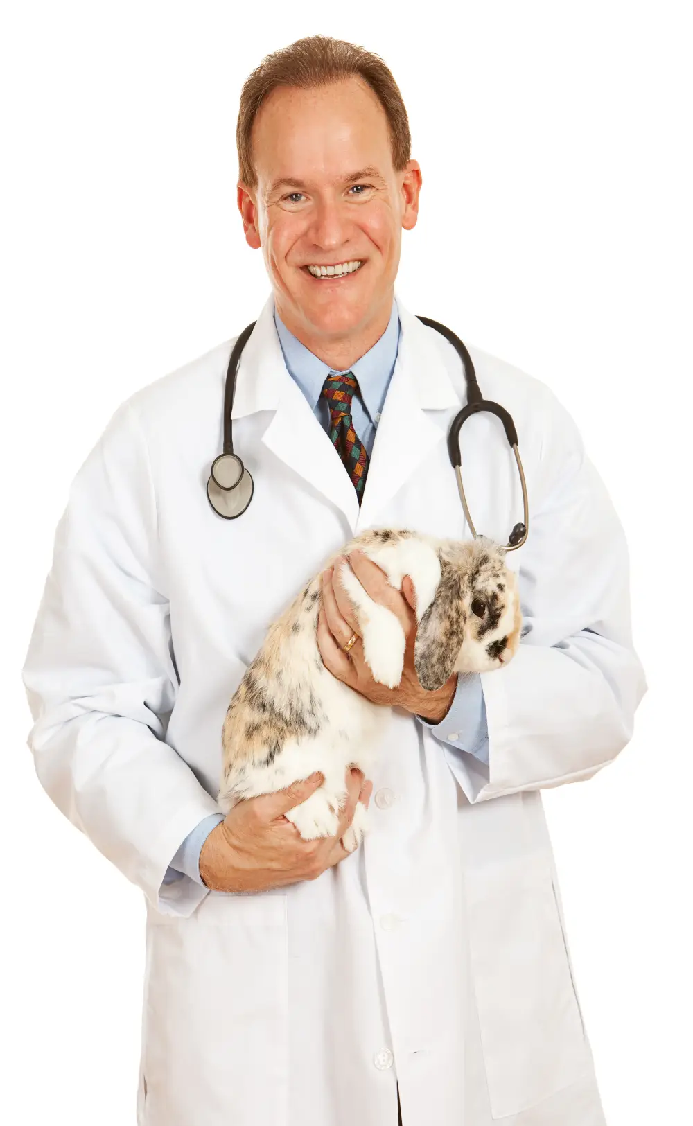 Dierenarts verzekering