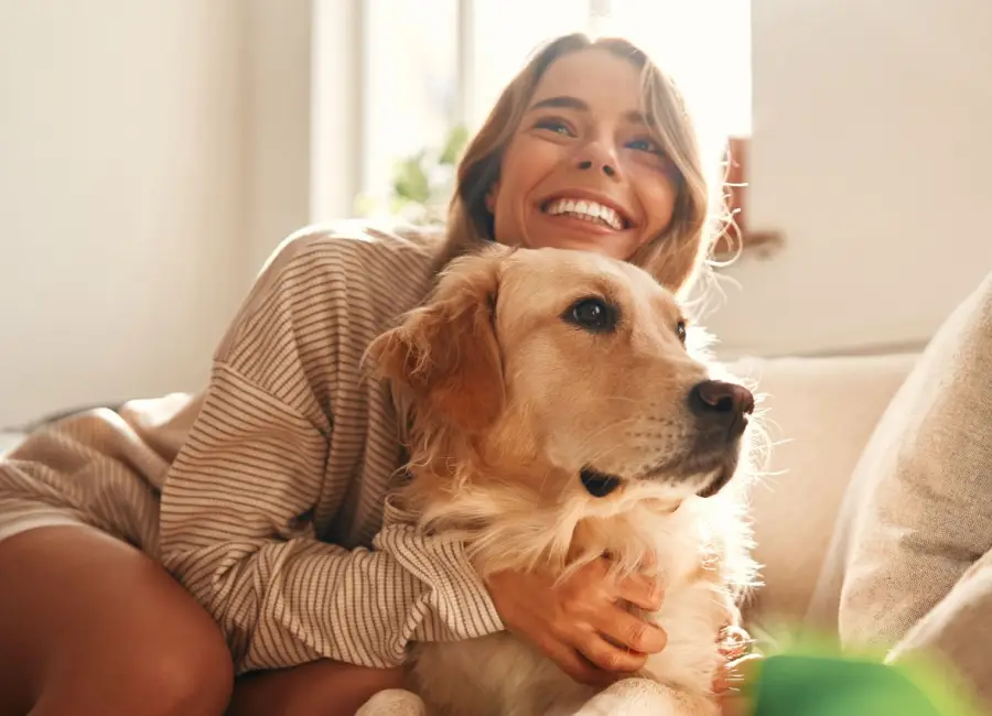 De beste dierenverzekering