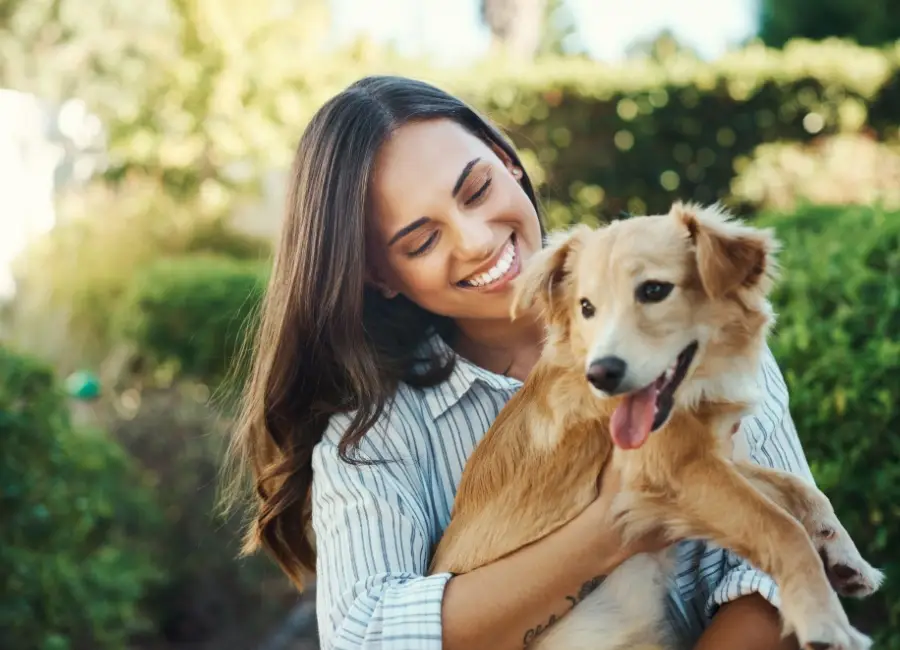 Moet ik mijn hond verzekeren?